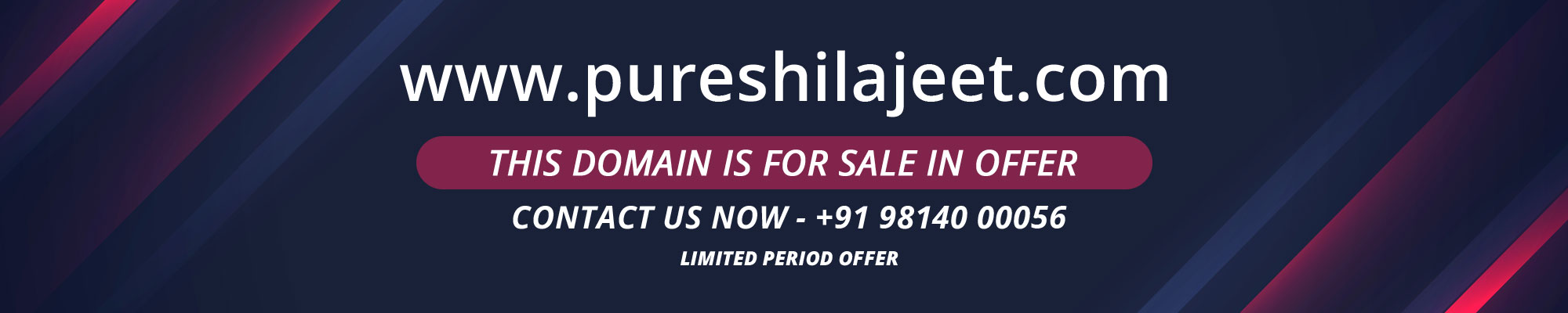 pureshilajeet.com domain is for sale
